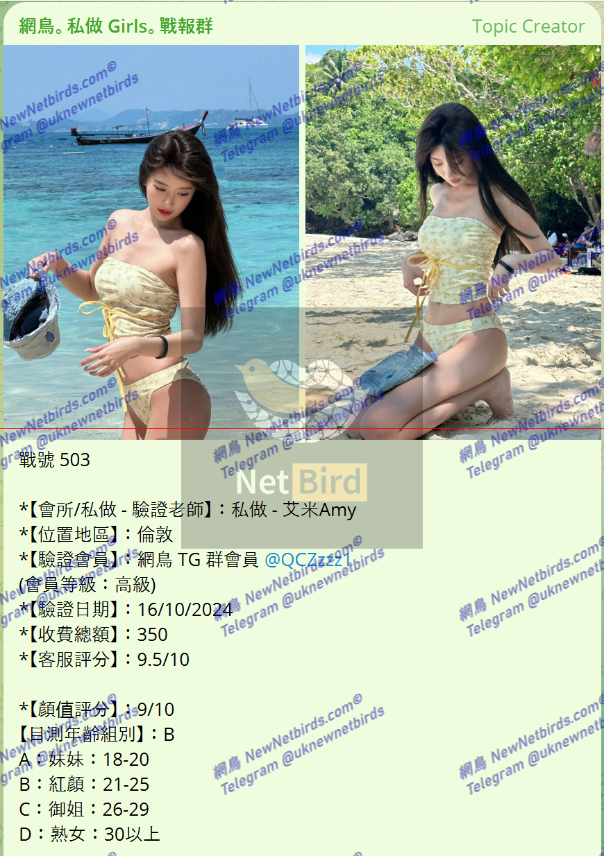戰號 503 1.png